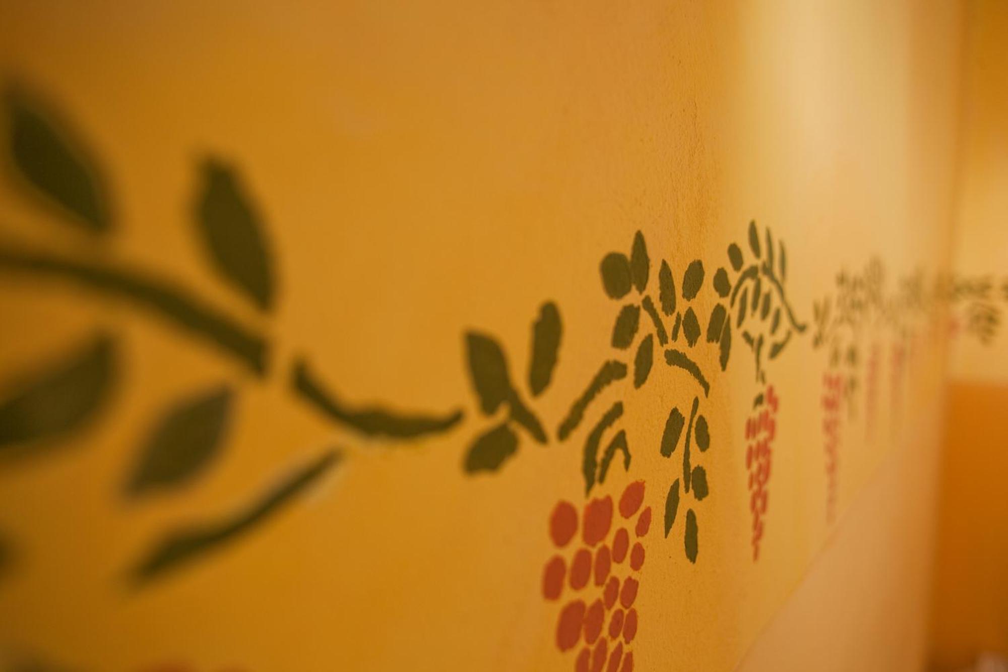 Bed and Breakfast Mas Montluzia Cascastel-des-Corbieres Екстер'єр фото